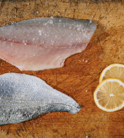 Côté Fish - Mon poisson direct pêcheurs - Filets De Daurades Royales 300g