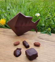 Basile et Téa - Poisson en chocolat Noir 66% de Pâques Garni 130g
