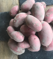 La Ferme du Polder Saint-Michel - Pomme de terre nouvelle Bio "Alouette" extra