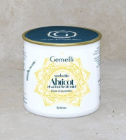 Gemelli - Gelati & Sorbetti - Sorbet Abricot et sa touche de miel pot 100ml