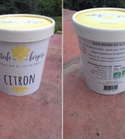 L'Etoile de la Bergère - Glace Bio Au Lait De Brebis Corse Citron 470 Ml