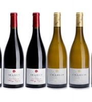 Domaine Tupinier Philippe - Lot de 2 vins AOC : Chablis 2020 et Irancy 2018 - 6 Bouteilles