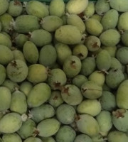 Les Jardins de Mondpa - Goyave ananas "Feijoas" - 1kg