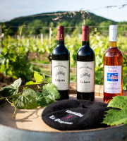 Domaine la Paganie - Coffret de 3 Bouteilles : 2 Rouges AOC Cahors et 1 Rosé Vin de France
