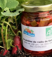 Ferme Sinsac - Pickles de Radis Bio XL - 700 g