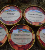 Les Glaces de la Promesse - Assortiment De Sorbet Rhubarbe,mirabelle,myrtille,fraise Et Poire 5x 500 Ml