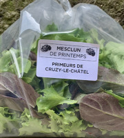 Primeurs de Cruzy-Le-Châtel - Mesclun de laitue en sachet fraîcheur - format familial
