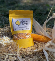 Grain Pop - Maïs Popcorn Nature vrac - 10 sachets de 300g