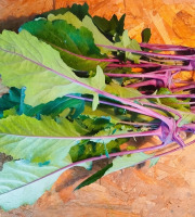 Nature et Saveurs - Ferme Aquaponique et Permacole Astérienne - Mini Chou-Raves Violets Gastronomiques (5 pièces)