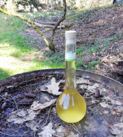 Vinaigres de la Carrière - Vinaigre de Cidre à la Verveine bio - 500 ml