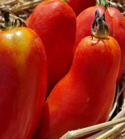 Les Jardins de l'Osme - Tomate Andine Cornu bio - 1kg