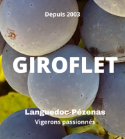 Domaine Giroflet - Giroflet Blanc 2020 - 6 bouteilles