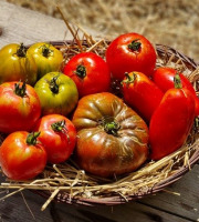Les Jardins de l'Osme - Mélange de tomates anciennes bio - 1kg