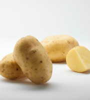 Maison Bayard - Pommes de terre Agria - 12.5kg