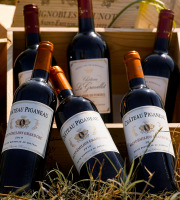 Vignobles Brunot - Coffret Bois "Vins Super Premium de Bordeaux" Saint-Emilion Grand Cru et Lalande-de-Pomerol - 6x75cl