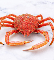 Poissonnerie La Piriacaise - Araignée de mer cuite - 1,5kg