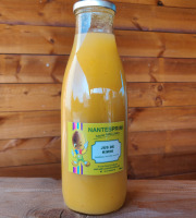 Verger Nantes Prim - Nectar de kiwi jaune 6x75cl