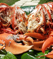 Le Panier à Poissons - Le homard du Croisic cuit, pièce de 900gr/1kg