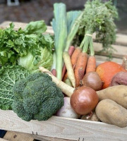 Les Jardins de Gérard - Panier de saison Bio – Légumes, fruits et herbes aromatiques – 10 kg
