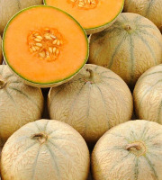 La ferme de la Coccinelle - Melon charentais bio