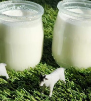 Chèvrerie des Fossées - Lot de 6 yaourts natures