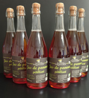 La Ferme du Luguen - Jus de pommes pétillant - Lot de 6 bouteilles