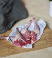 Cailles de Chanteloup - LOT de 1 sachet de cuisses de pigeonneaux (500gr) + 1 verrine de cuisses de pigeon confites