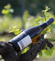 Domaine Daridan - Vin AOC Cheverny Blanc 2021 Tradition 6x75cl