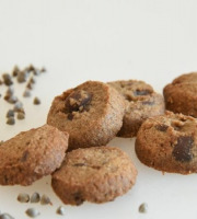 L'Atelier Contal - Paysan Meunier Biscuitier - Cookies Exquis - Farine de Sarrasin et pépites de chocolat - 2kg