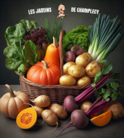 Les Jardins de Champlecy - Panier De Légumes De Saison 5kg