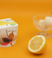 Le Jardinier Glacier - Sorbet Citron de Sicile avec zeste confit maison - 2,5Lx2