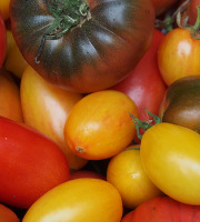 Mon Petit Producteur - Assortiment Tomates Anciennes Bio