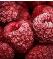Le Domaine du Framboisier - (OFFRE PRO) Fruits rouges surgelés