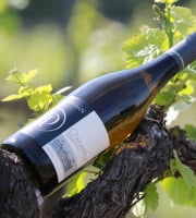 Domaine Daridan - Vin AOC Cheverny Blanc 2021 Tradition