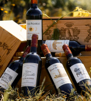 Vignobles Brunot - FOIRE AUX VINS : Lot Découverte : Vins Rouges de Bordeaux, dont Saint Emilion Grand Cru - 6x75cl