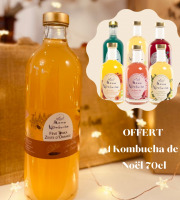 Mama Kombucha - LE PACKOMBUCHA 70cl - 6 bouteilles + 1 OFFERTE