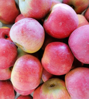 Le Châtaignier - Pommes Reines De Reinettes - Colis 5kg