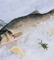 Côté Fish - Mon poisson direct pêcheurs - Loups 500g
