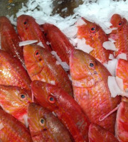 Notre poisson - Rouget Barbet écaillé vidé 300/500g en lot de 2kg