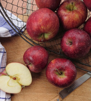 Le Verger de Crigne - Colis 4kg Pommes Top Red Bio