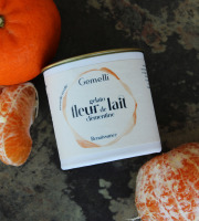 Gemelli - Gelati & Sorbetti - Glace fleur de lait clémentine 12x100ml