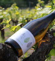 Domaine Daridan - Vin IGP Val de Loire Sauvignon Blanc 2020 - 6x75cl