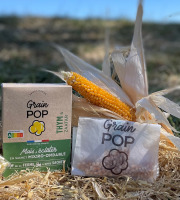 Grain Pop - Maïs à Popcorn saveur Thym & Zaatar - 10 étuis
