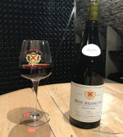 Domaine Michel & Marc ROSSIGNOL - Bourgogne "Pinot Noir" 2019