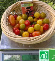 Les Jardins de Karine - Tomates cerises en mélange - 500g