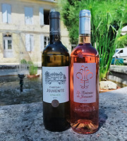 Château Jouvente - Offre Duo Estivale : AOC Graves Blanc 2020 et Rosé 2019 - 2 Bouteilles