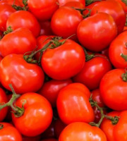 Les Herbes du Roussillon - Tomates rondes producteur-500gr