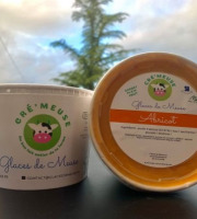 Glaces de Meuse - Sorbet Plein Fruit Abricot 360g