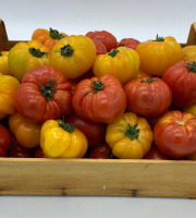 Le Panier du Producteur - Tomates anciennes - 1kg