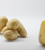 Maison Bayard - Pommes De Terre Charlotte - 5kg NOUVELLE RECOLTE
